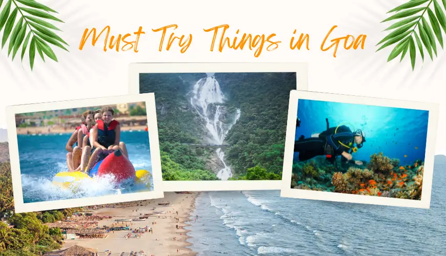 Things To Do in Goa