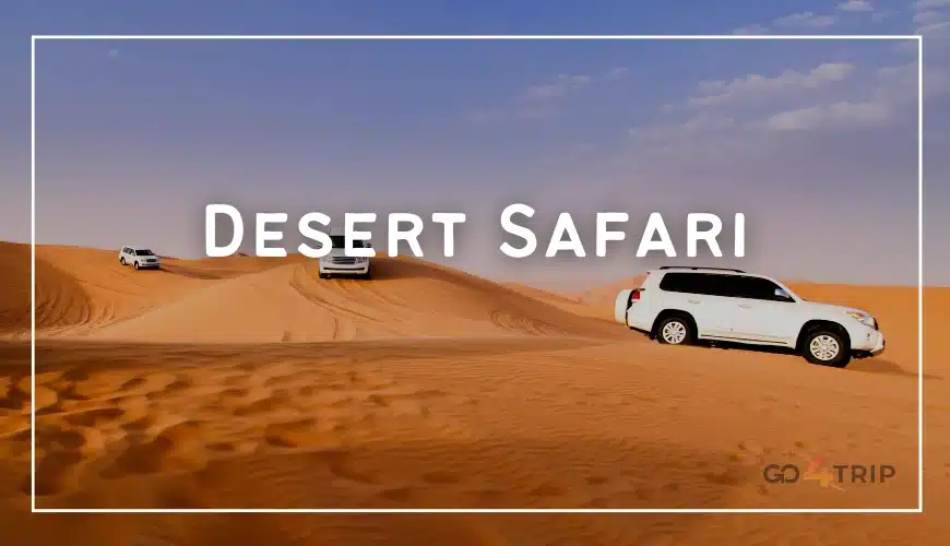 Desert Safari