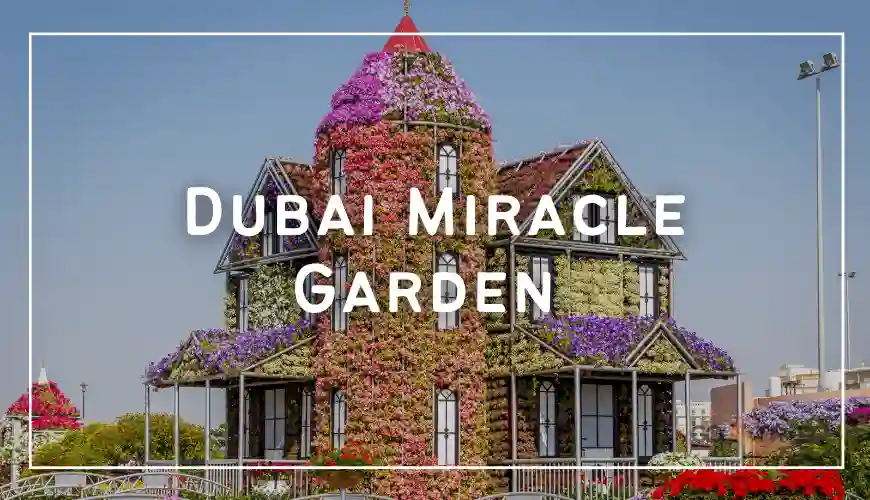 Dubai Miracle Garden